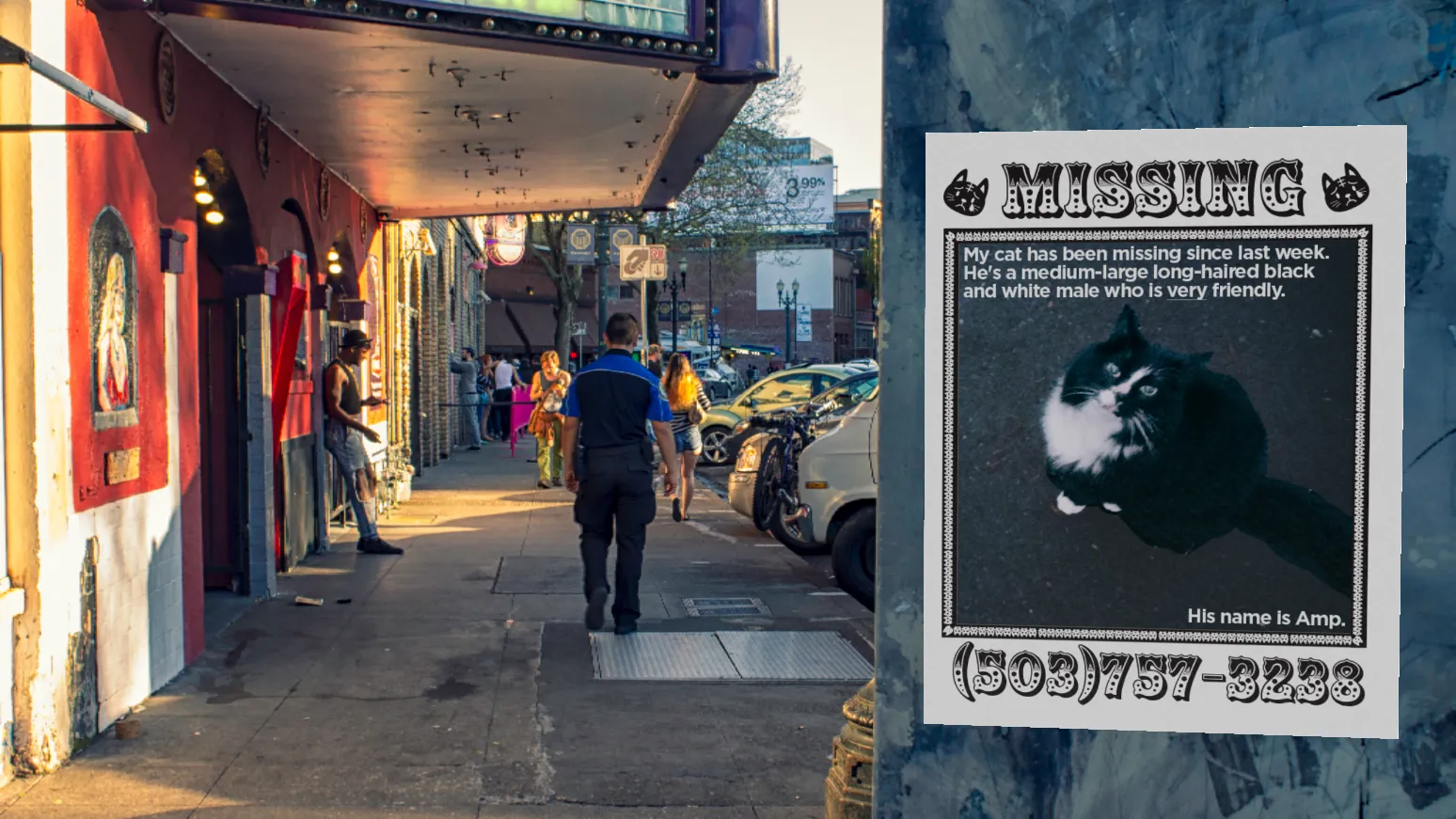 hero image for Missing Cat Poster: Designing for Emotional Impact and Action