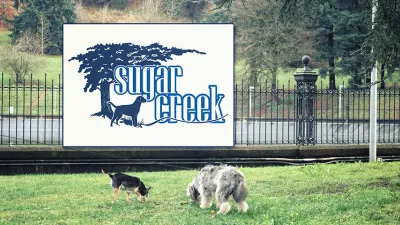 Image for Sugar Creek: Branding a Canine Haven for Play and Learning